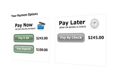 Preview - Collect payments online or by check.